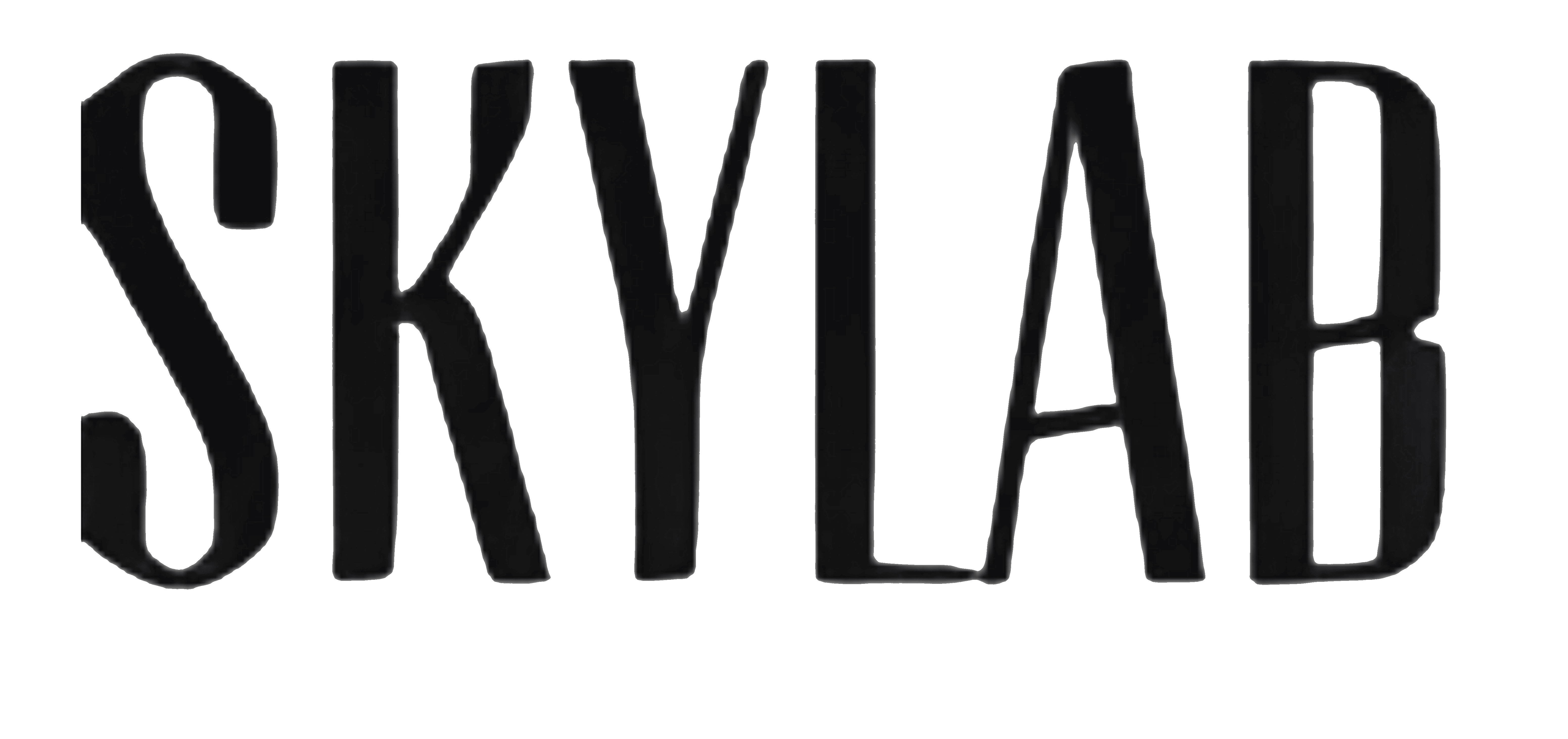 Skylab Logo